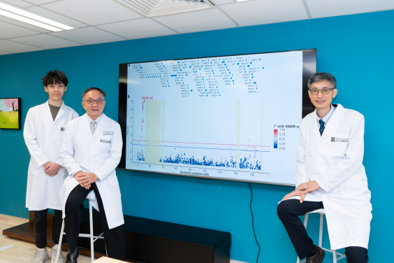 HKUMed meta-analysis links high-risk Epstein-Barr virus lineage to nasopharyngeal cancer in Southern China.